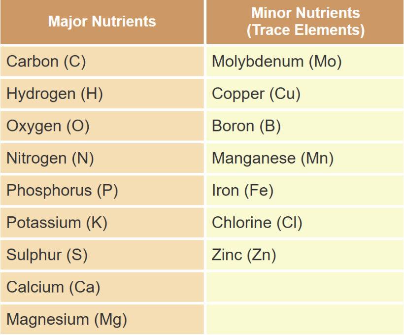 trace elements