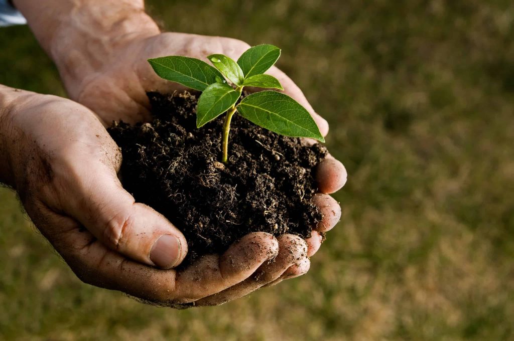 Soil conditioners